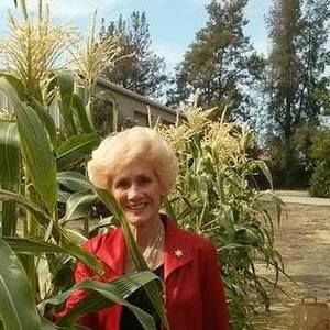 Meet your Posher, Janete